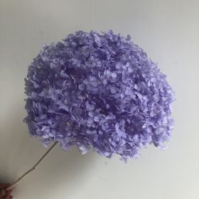 DIY Living Room Table Decoration Decoration Decoration Yongsheng Flower (Option: Bright Purple-20 25cm)